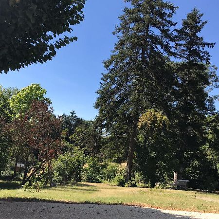 Charmant F1 Avec Terrasse Et Vue Sur Jardin Arbore - Fraicheur Naturelle Du Rez De Jardin - Parking بيلريف-سور-اليي المظهر الخارجي الصورة